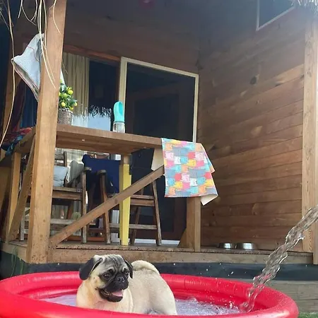 Ela Apart & Bungalow * Fethiye